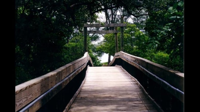 Embrace Nature’s Playground at John U. Lloyd Beach State Park